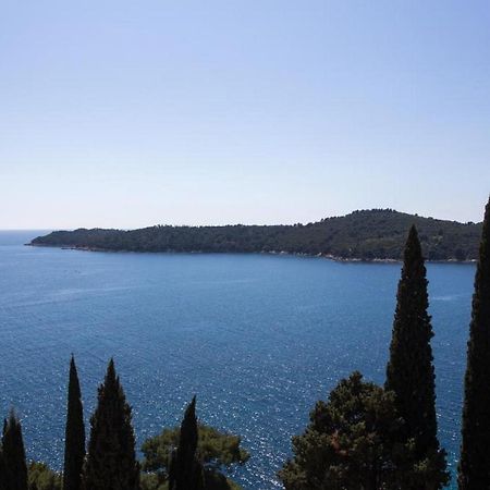 Apartments Villa Ari Dubrovnik Bagian luar foto